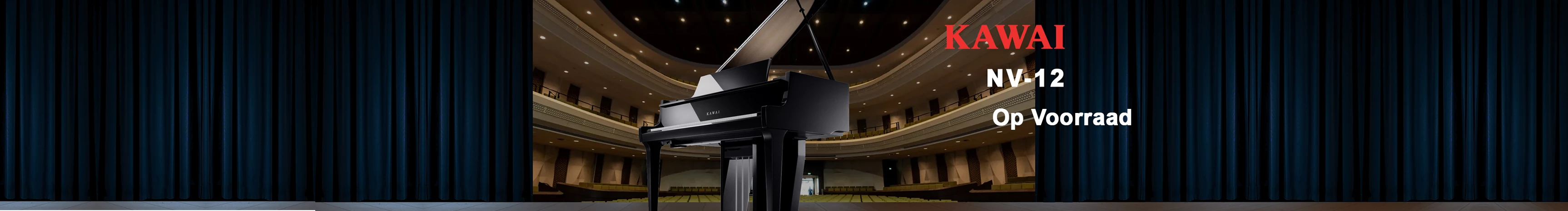 Kawai NV12